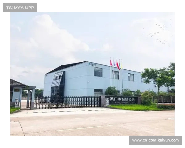 从OEM到OBM，黄江企业靠技术创新突破国际市场壁垒